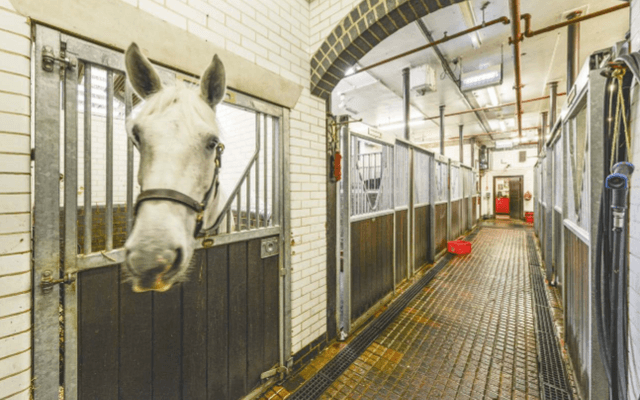 The City of London Police stables its horses at Wood Street